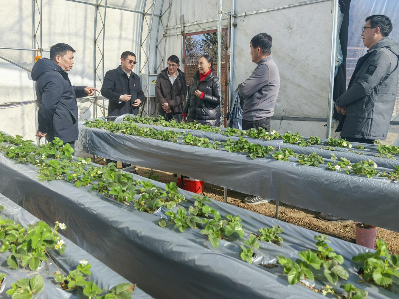 1743560049760045074.png 图片1.png