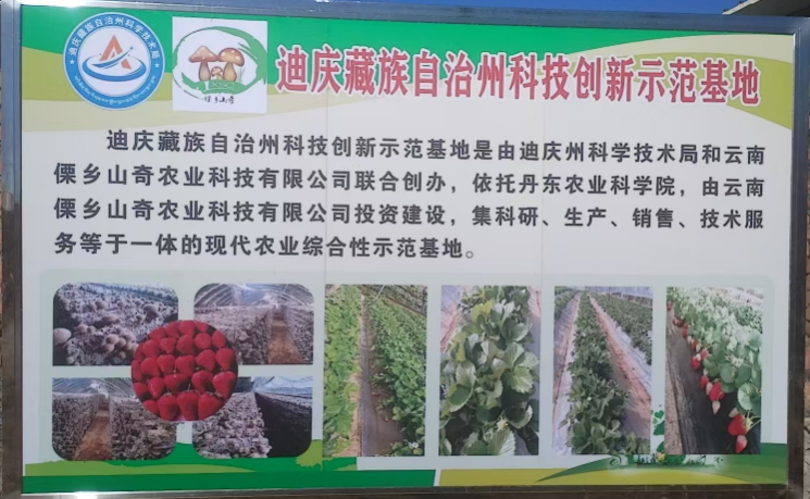 1743560232229067192.png 图片2.png