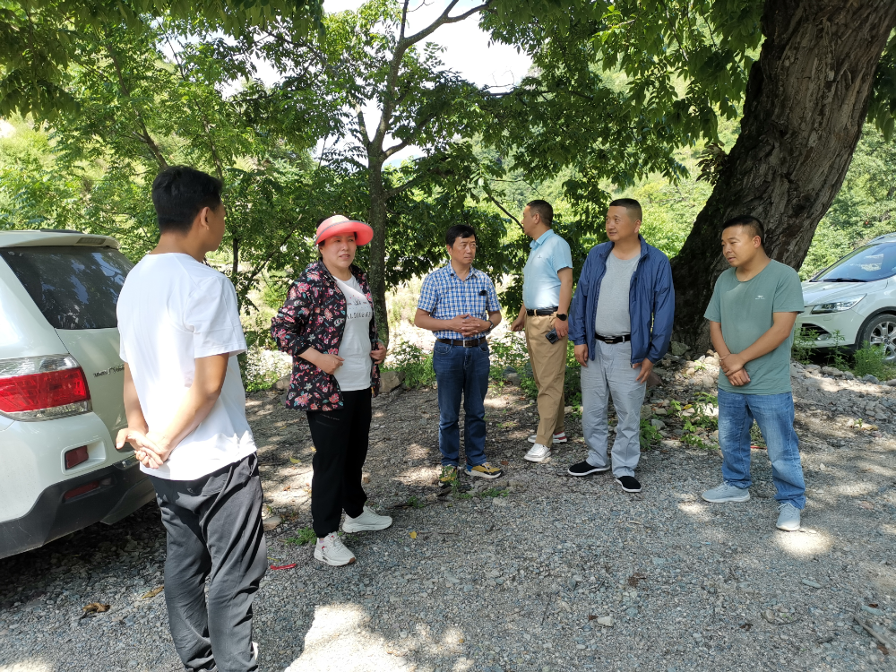 1702005826435040273.png 图片1.png