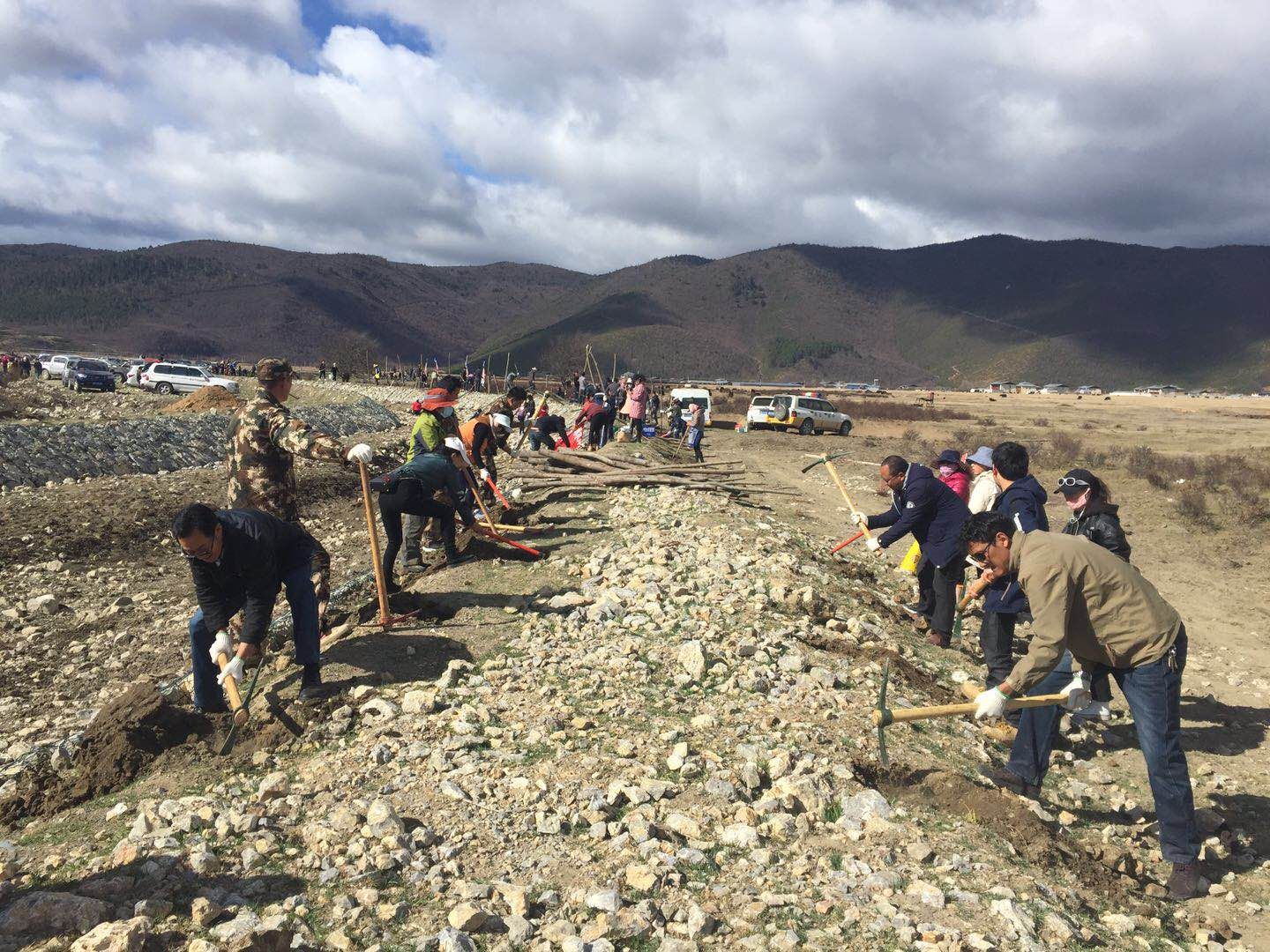 植树2.jpg 植树2.jpg