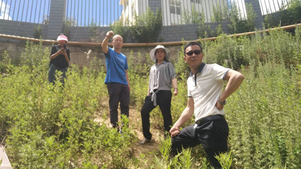 维西核查6.25    2f89bbbbb726ddeeb2806f777778e26_副本.jpg