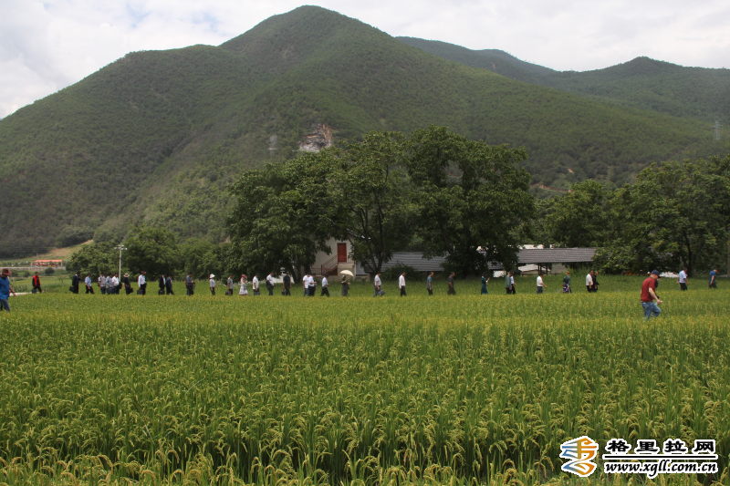 6c138e87-76a1-48bf-8de9-b71c529b9159_watermark.png 6c138e87-76a1-48bf-8de9-b71c529b9159_watermark.png