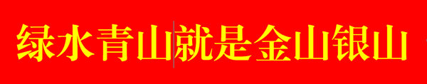 l绿水青山.png