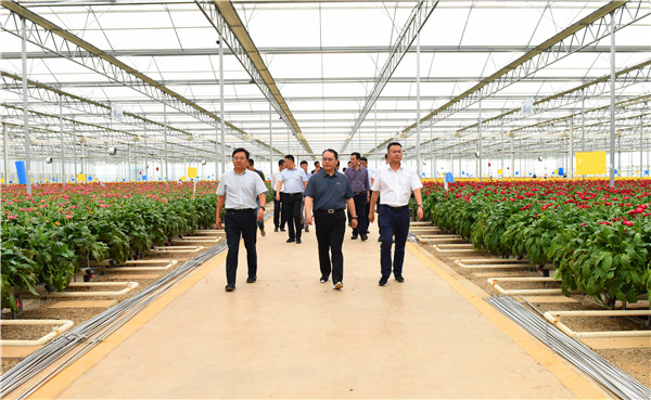 8a046ba7-657b-4839-97fe-1bc39ffadee9.jpg 8a046ba7-657b-4839-97fe-1bc39ffadee9.jpg