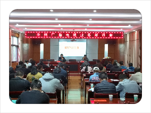 图片13.png 图片13.png