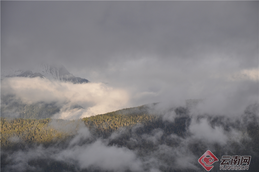 C:\Users\yq\Desktop\1  _20191218085515.jpg