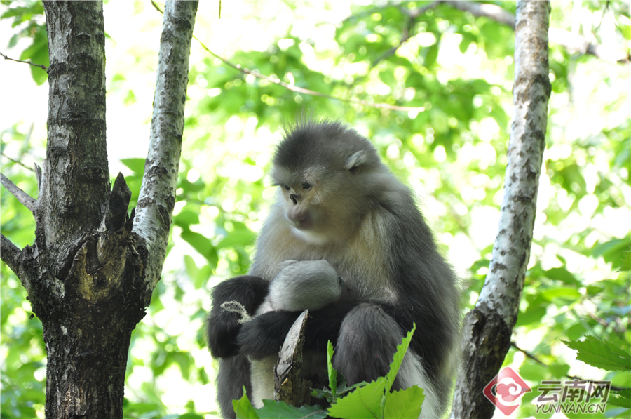 C:\Users\yq\Desktop\2  _20191218085531.jpg