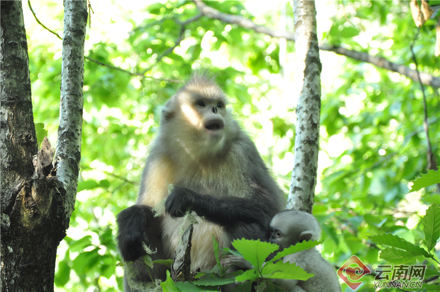 C:\Users\yq\Desktop\3  20191218085544.jpg