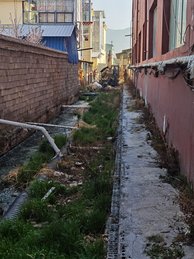 藏龙 佐证2_副本.jpg