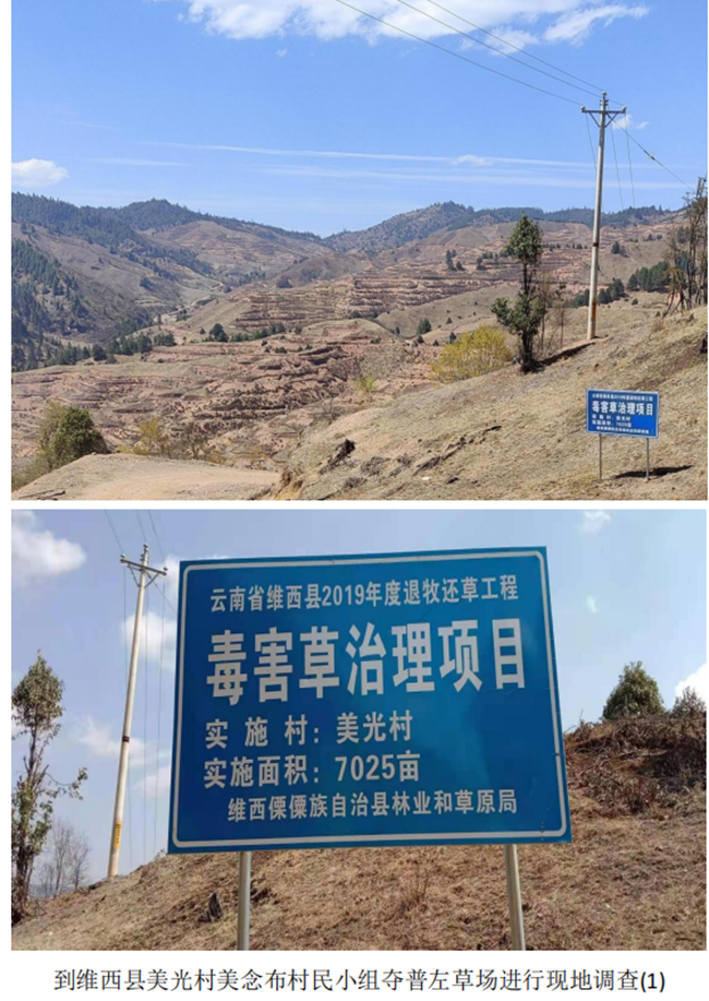 4.29 维西草场3_副本.png