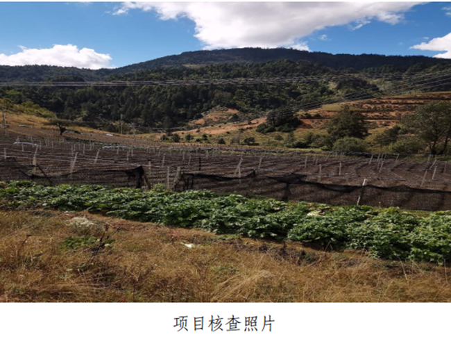 4.29 维西草场4_副本.png