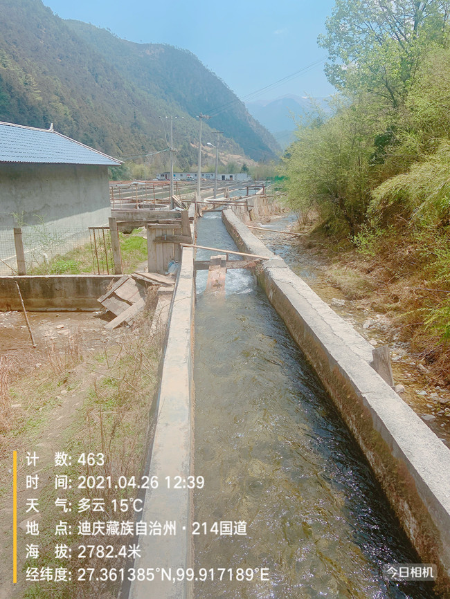 4.30 三文鱼3_副本.jpg