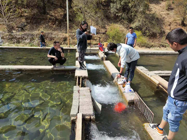 4.30 三文鱼4_副本.jpg