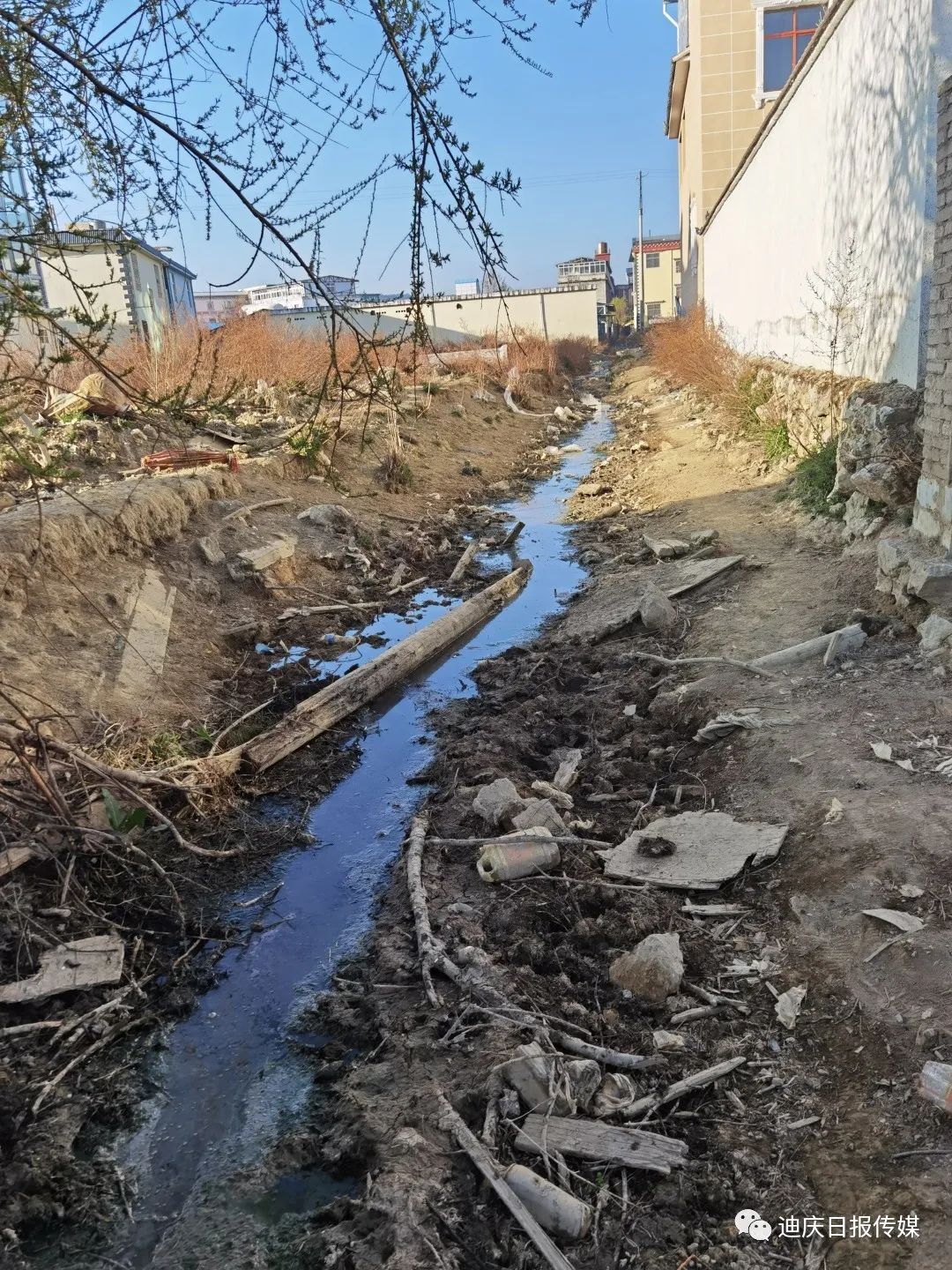 785a8682-eb79-4255-9524-12089048584b.jpg 785a8682-eb79-4255-9524-12089048584b.jpg