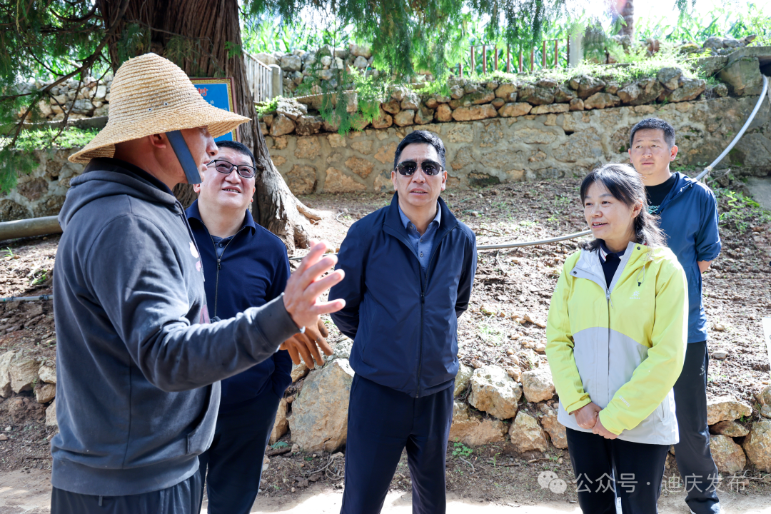 李燕兰带队到香格里拉市开展巡林暨纳帕海区域问题专项整治督导工作